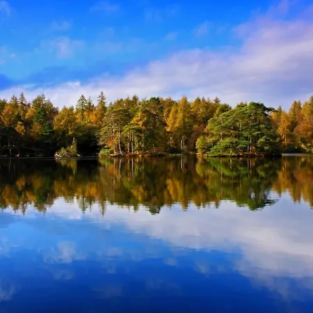 Bed and breakfast Storrs Gate House