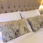 Storrs Gate House Bed & Breakfast 4*