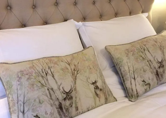 ستورز جيت هاوس فندق مبيت وإفطار 4*